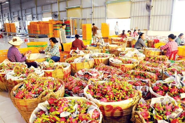 Trung Quốc siết nhập khẩu: Nông sản Việt Nam đối diện thách thức